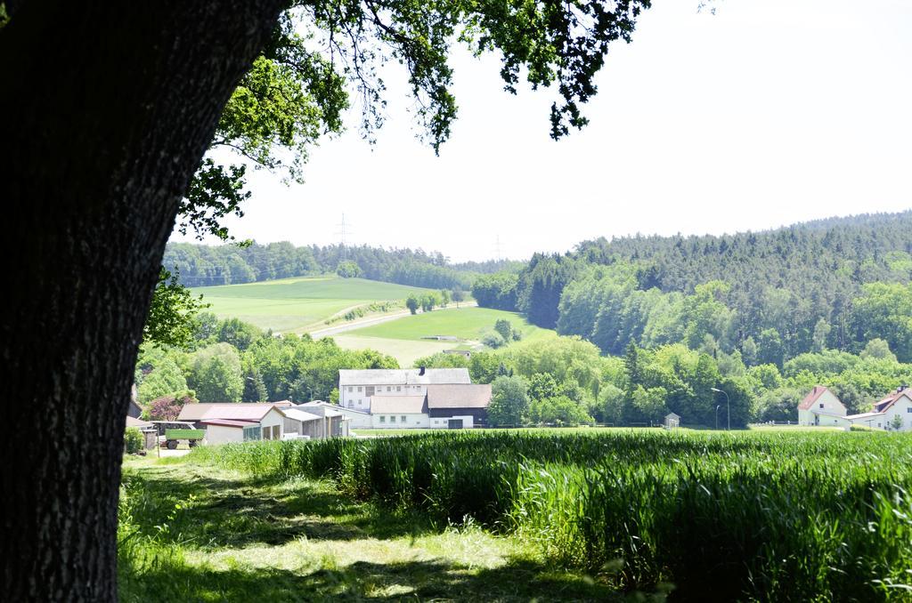 Hotel Gasthof Am Forsthof Edelsfeld ภายนอก รูปภาพ
