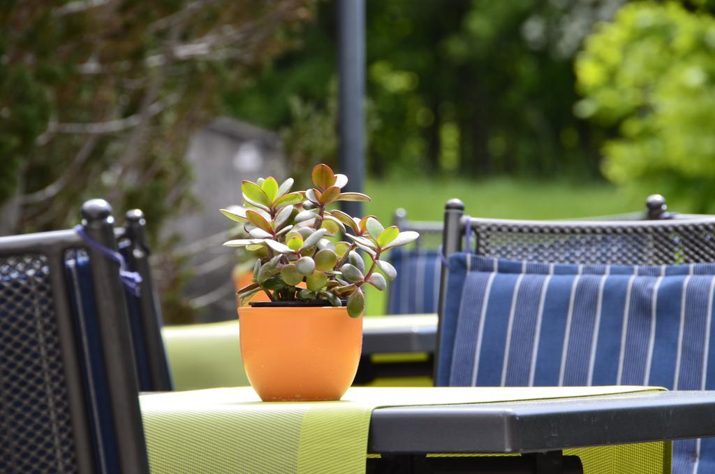 Hotel Gasthof Am Forsthof Edelsfeld ภายนอก รูปภาพ